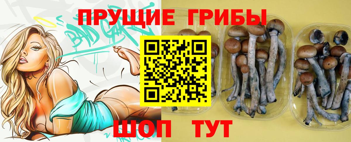Галлюциногенные грибы Cubensis  Вход с VPN  Камышлов 