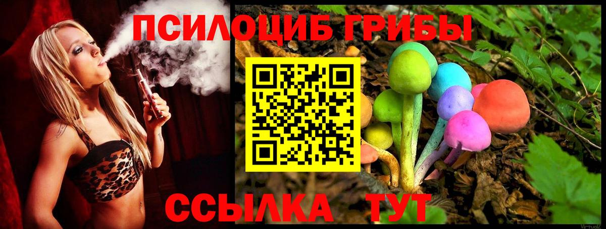 Галлюциногенные грибы Cubensis Камышлов